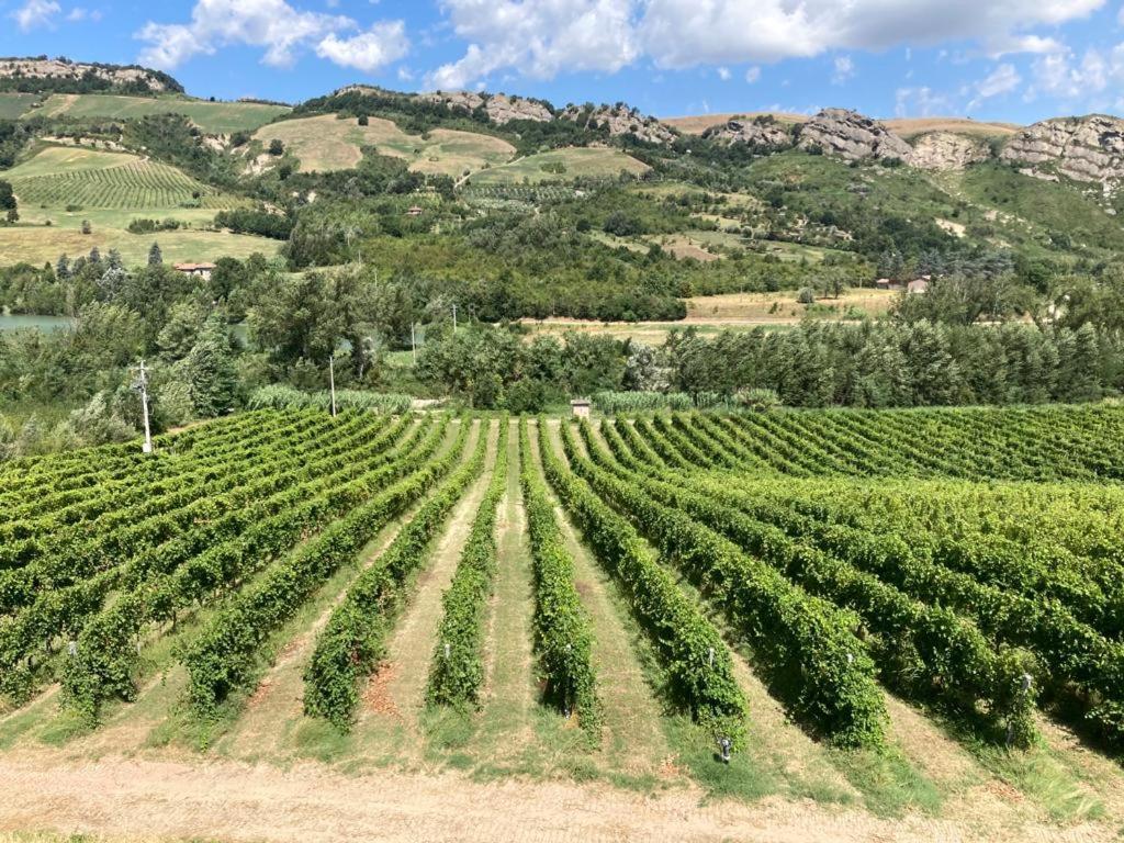Ca' Vanello Borgo Tossignano Exteriér fotografie